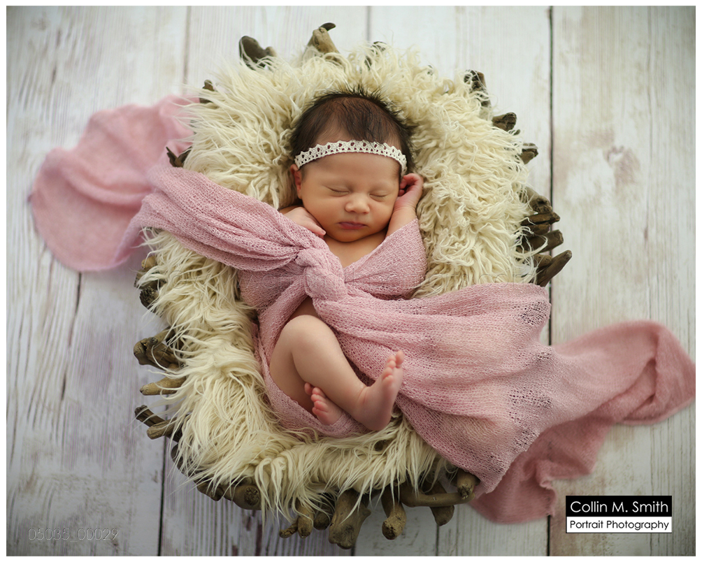 © Collin M. Smith Portrait Photography www.cmsmithportraits.com/blog